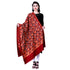 Women's Aari Embroidered Wool Shawl